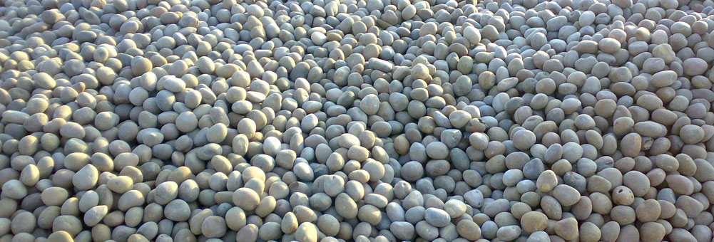 Proin euismod ultrices enim